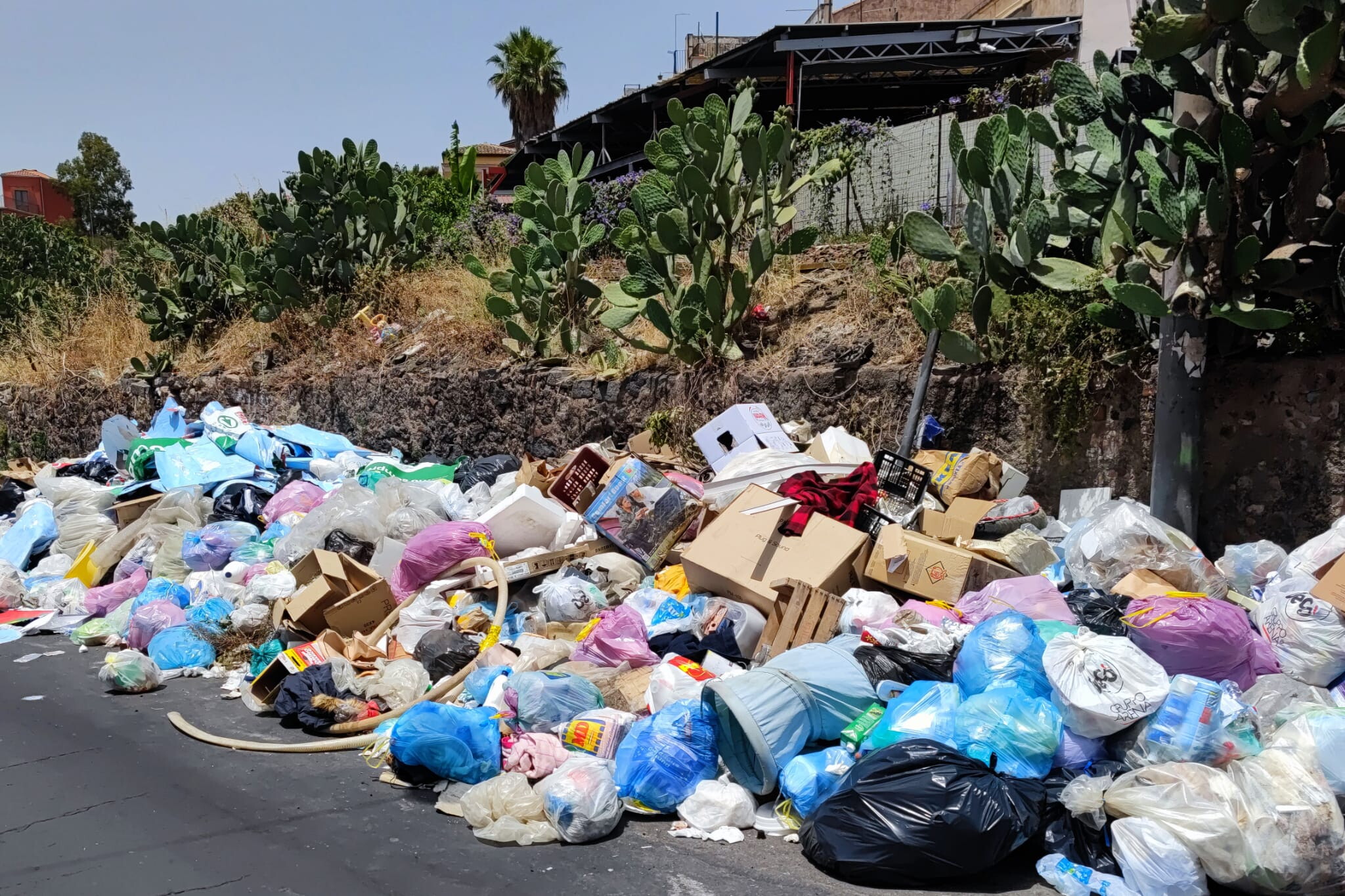 Rifiuti A Catania Cittadini Perdono La Pazienza E Inviano Diffide Al Comune Pronti A Chiedere