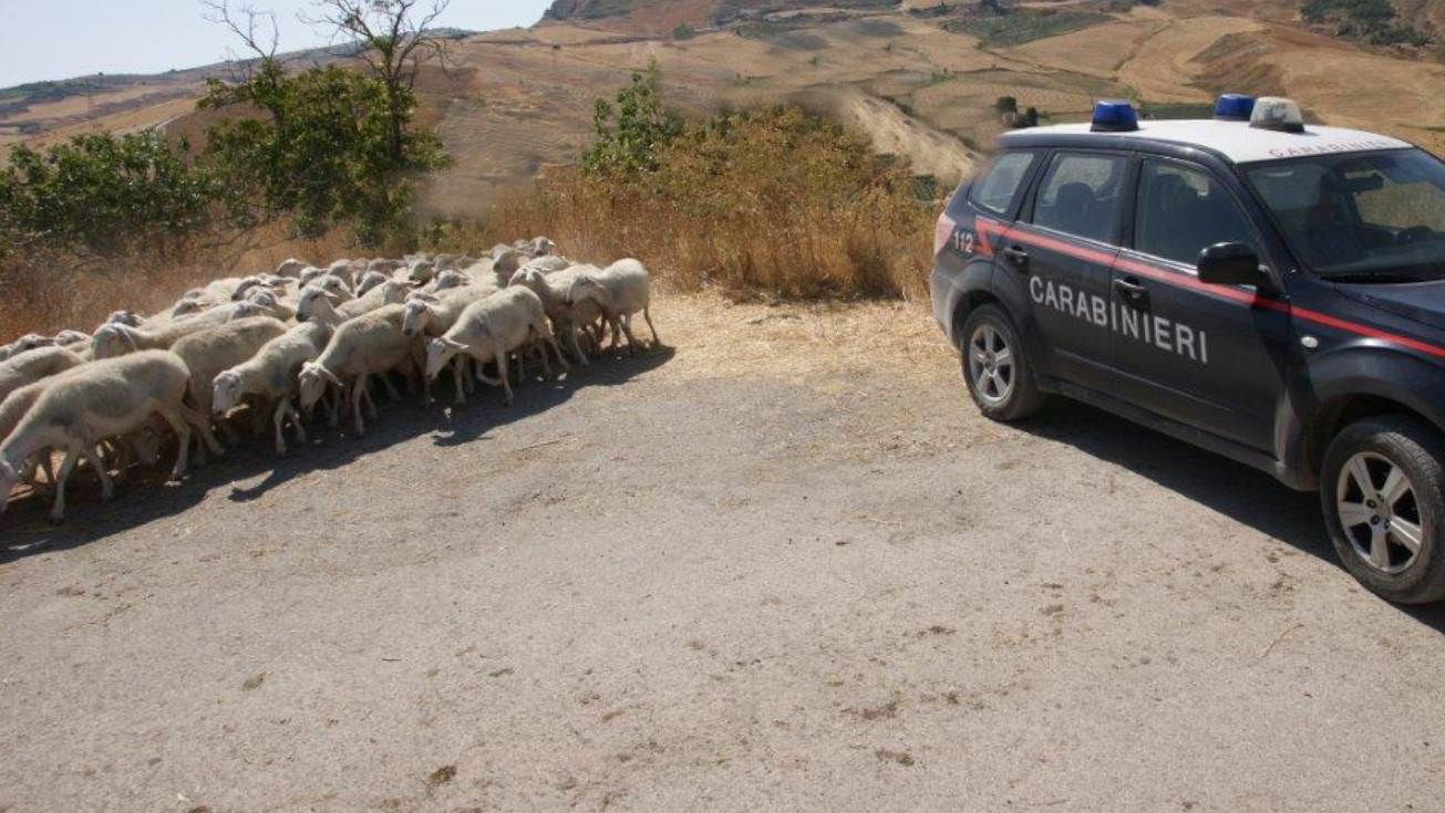 Fratelli Uccisi Per Lite Sui Pascoli Chiesto Ergastolo Per Un Pastore Romeno La Sicilia