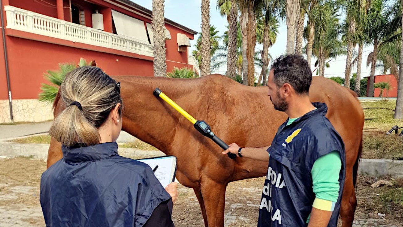 Da Acireale ad “Affari tuoi”, Ilenia e Giuseppe portano a casa 77mila euro